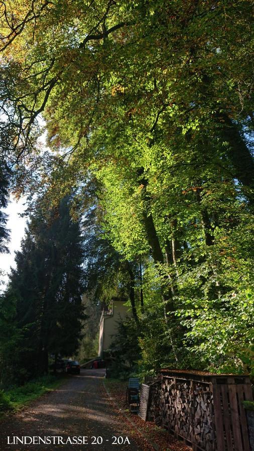 Ferienwohnung Haus Schoeneck Schonecken Bagian luar foto