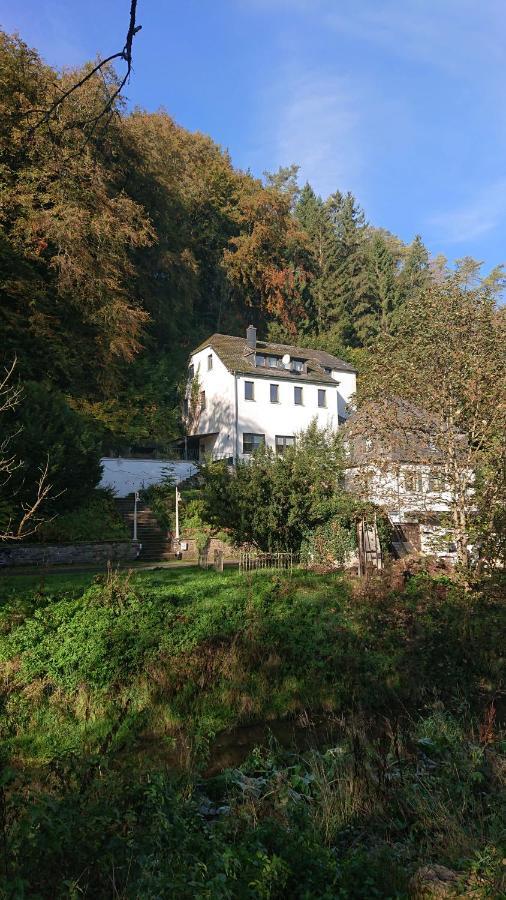Ferienwohnung Haus Schoeneck Schonecken Bagian luar foto